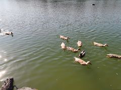 -上海怡沁园度假酒店