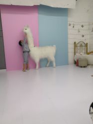 -星宝贝儿童摄影