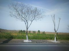 -南汇嘴观海公园
