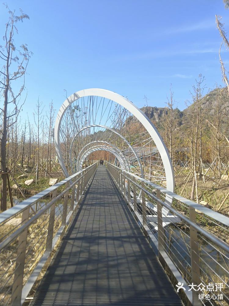 绿色心情 2023年12月21日 关注 苏州狮子山 ##0元玩转这座城狮山文化