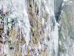 -龙苍沟森林公园