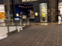 -DFS迪斐世(澳门新濠天地店)