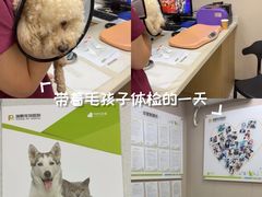 -瑞鹏宠物医院·骨外科·心肾科·肿瘤科(九亭店)