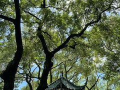 -古琴台