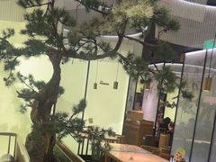 -绿茶餐厅(南翔印象城MEGA店)