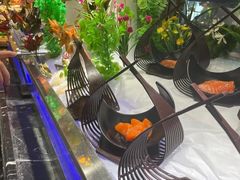 -锤头鲨毛肚海鲜烤肉自助餐厅(国购广场店)
