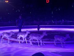 -西安秦岭野生动物园