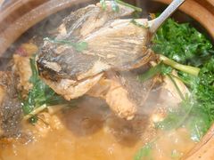 -九道菜有鸡鱼头(石鼓路店)