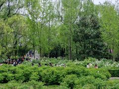 -洛阳市隋唐城遗址植物园