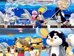 -大连圣亚海洋世界