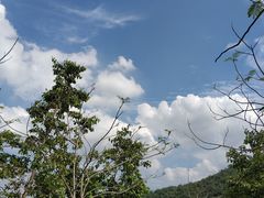 -凤岗南门山森林公园