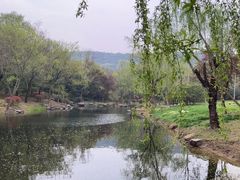 -宝界山林公园