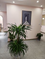 -MUSES专业脱毛比基尼サロン日式连锁