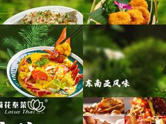 -荷花泰菜(东方新天地店)