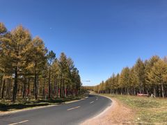 -塞罕坝国家级自然保护区