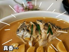 -樱苑(四川北路店)