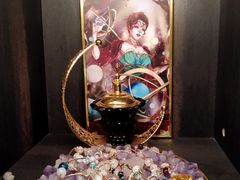 -雪灵魔法世界SHELLY’S TAROT(大良桂畔里店)