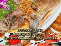 -小海豚•老字号海鲜餐厅(天涯店)