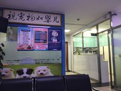 -宠颐生中康贝怡动物医院