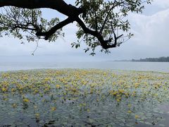 -西昌邛海宾馆