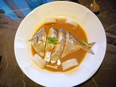家烧鲳鱼-新荣记(BFC外滩金融中心店)
