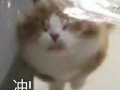 -AC健身·运动康复工作室(千灯湖店)