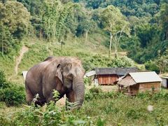 -清迈夜间动物园