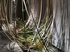 -璞素(浦东店)