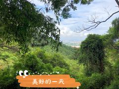 -大雁山风景区