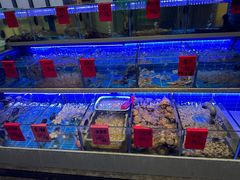-金海湾海鲜排档(朱家尖店)