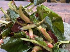 凉拌折耳根-青城甲(青城山店)