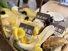 -大理老字号·舟渔的鱼野生菌海景餐厅(双廊店)