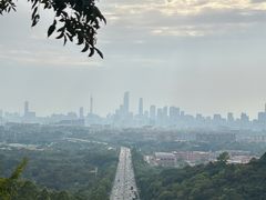 -火炉山森林公园