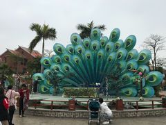 -灵玲国际马戏城