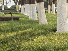-天鹅湖体育公园