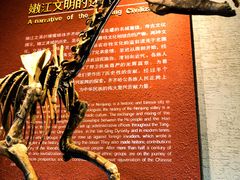 -齐齐哈尔市博物馆