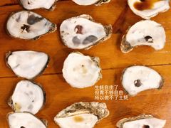 -土蚝·高压锅生蚝(百姓美食街店)