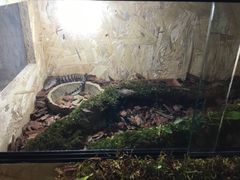 -Rabbit Cafe私房西餐甜点咖啡(栖霞路店)