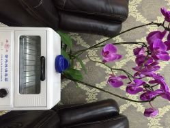 爱睫物语(新天地店)-爱睫物语