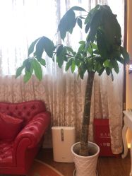 点击看大图 -茜尔维亚修身连锁(庆春银泰店)