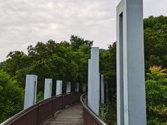 -宝界山林公园