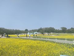 -北陵公园