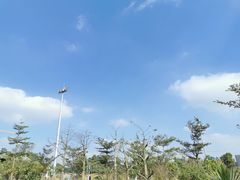 -ADO KAFE(大学城店)
