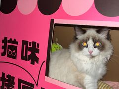 -烤匠麻辣烤鱼(锦华万达店)