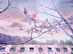 -小南山公园