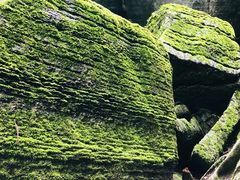 -梭布垭石林景区