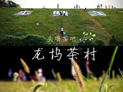 -龙坞茶村