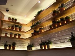 -翠華餐廳(浦东机场T1店)