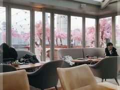 -城市露台景观餐厅(淮海路店)