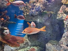 -福州罗源湾海洋世界旅游区